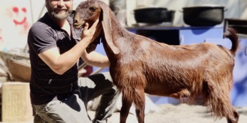 Halep Keçisi Çiftliğimizden Görüntüler