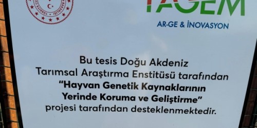 Halep Keçisi Çiftliğimiz Koruma Altındadır