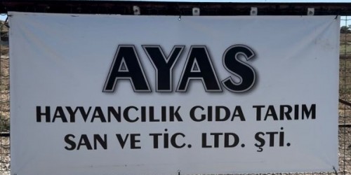 Ayas Halep Keçisi Çiftliği